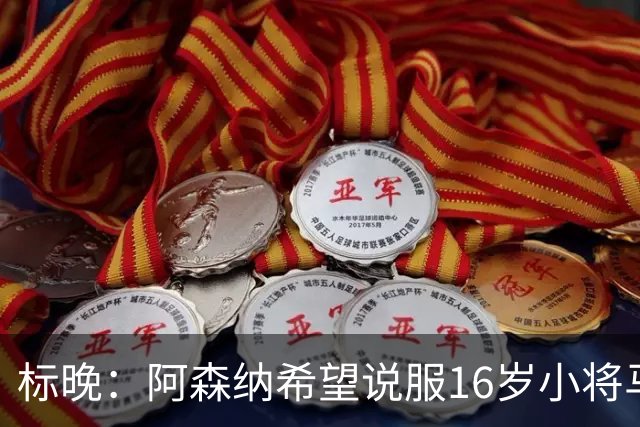 标晚：阿森纳希望说服16岁小将马丁留下